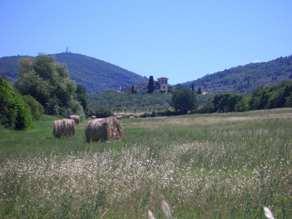 Le Civette Country Resort بانيو أَ ريبولِ المظهر الخارجي الصورة